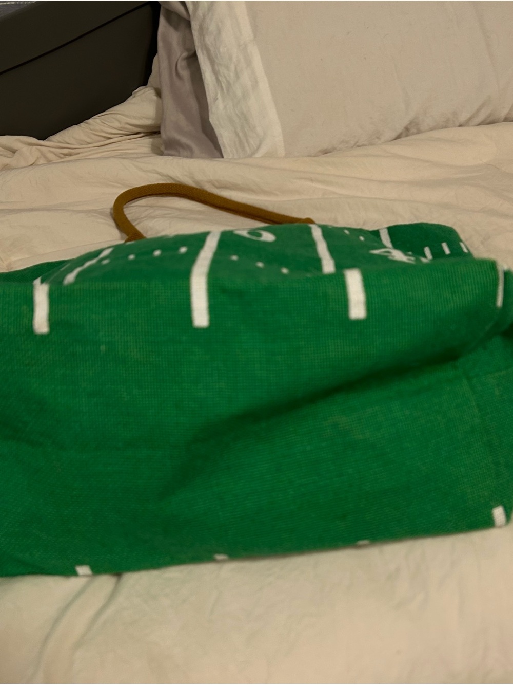 Source Unknown Green and White Football Field Tote with Brown Handles - Picture 7 of 7